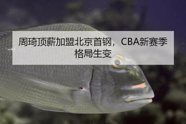 周琦顶薪加盟北京首钢，CBA新赛季格局生变